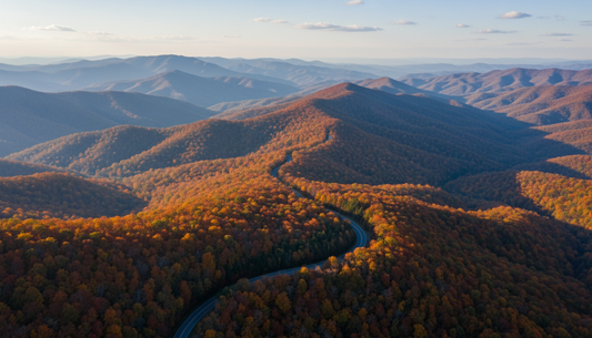 Is Kratom Legal in North Carolina? 2025 State Guide